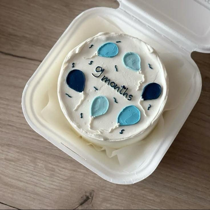 Bento cake for 9 months baby birthday