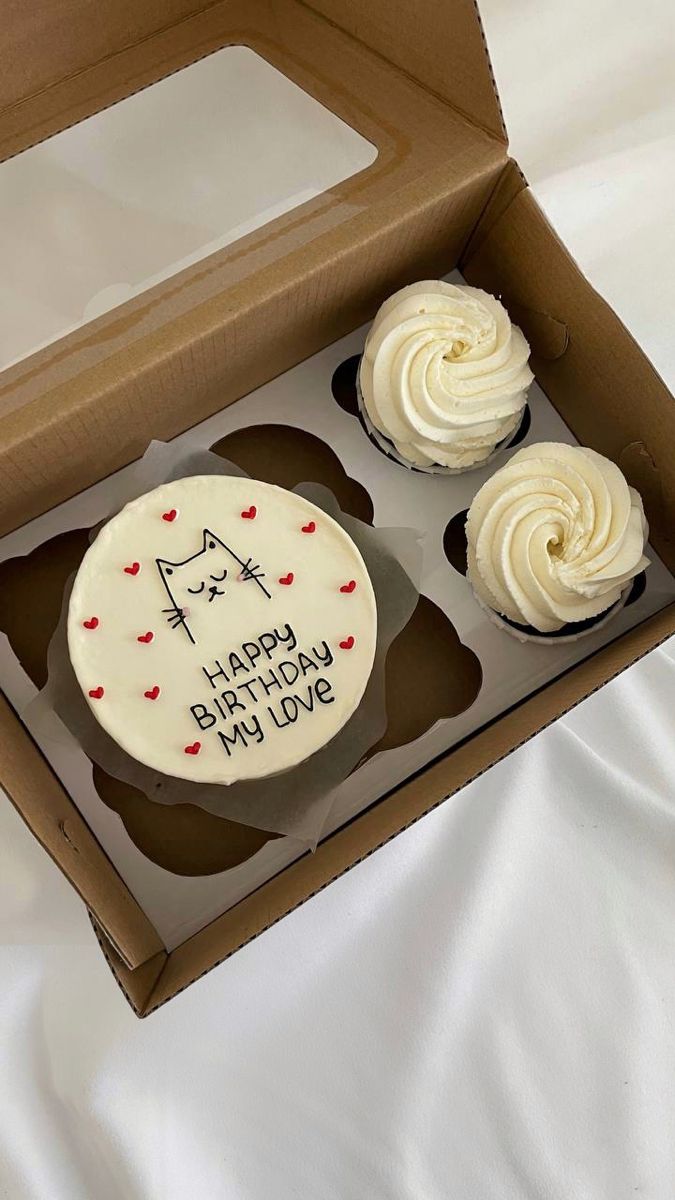 Cupcake Craze Meets Bento Cake Delight