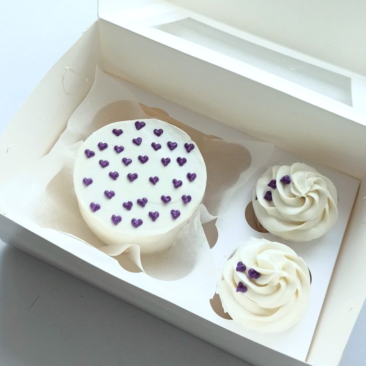 Bento cake combo ( 9 )