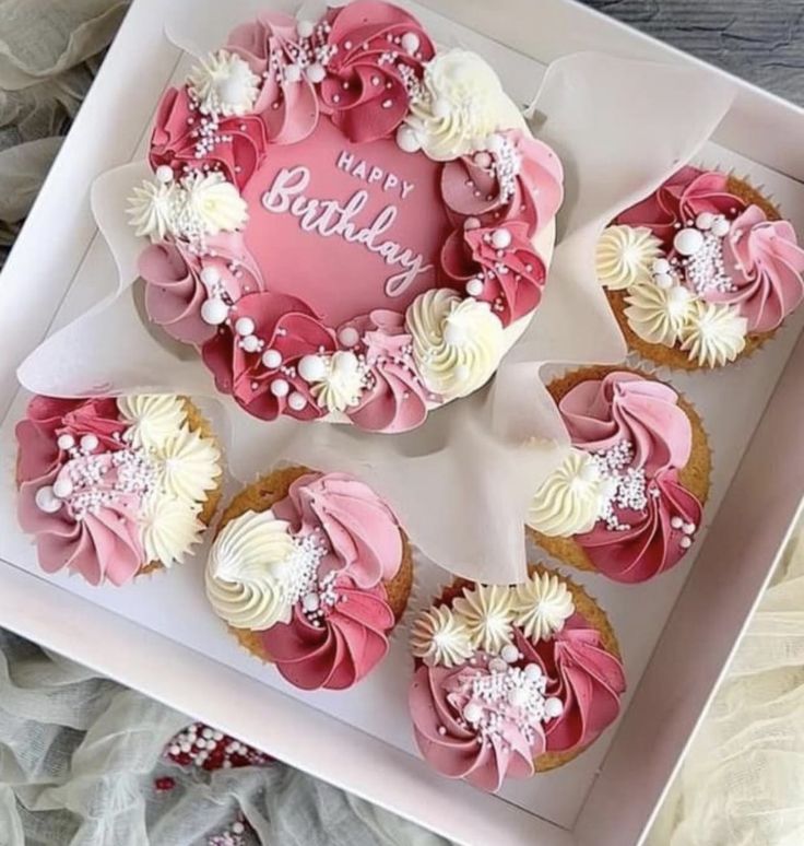Delightful Bento: Cake and 5 Sweet Cupcakes