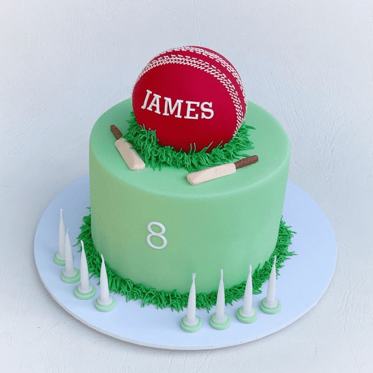 Cricket theme cake design ( 4 )