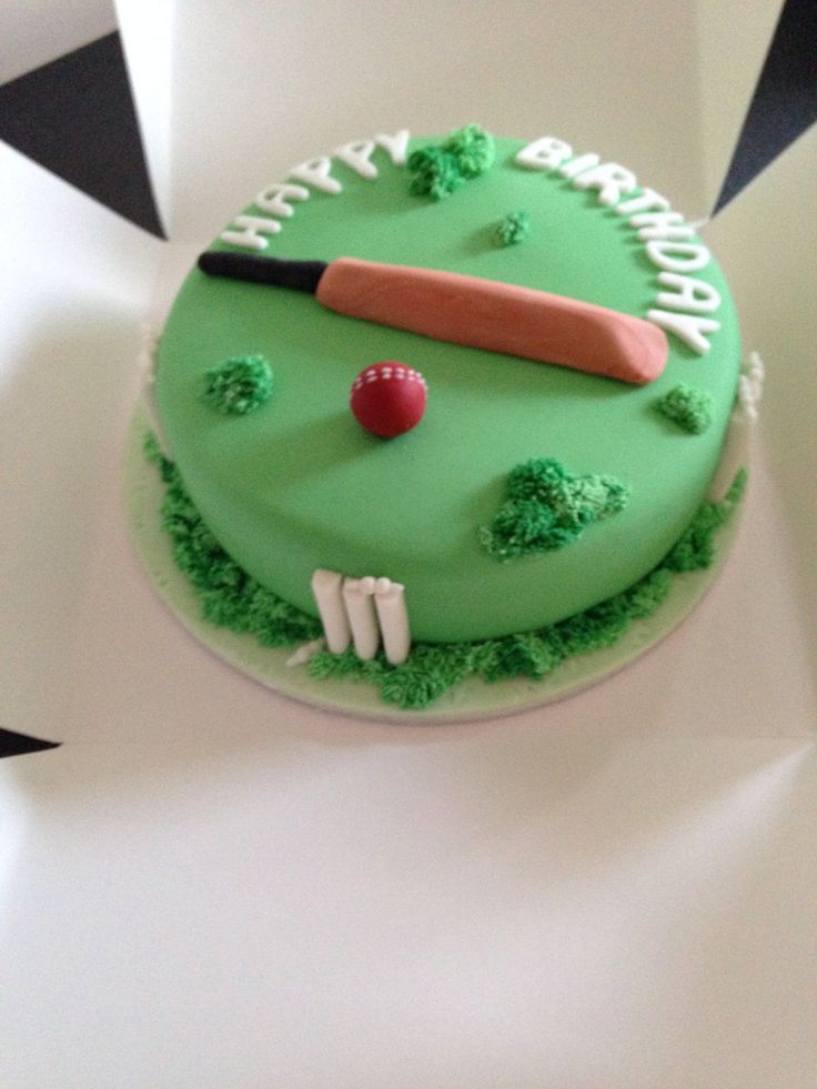 Cricket theme cake design ( 6 )