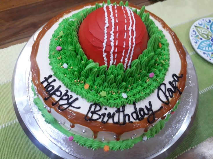 Cricket theme cake design ( 36 )