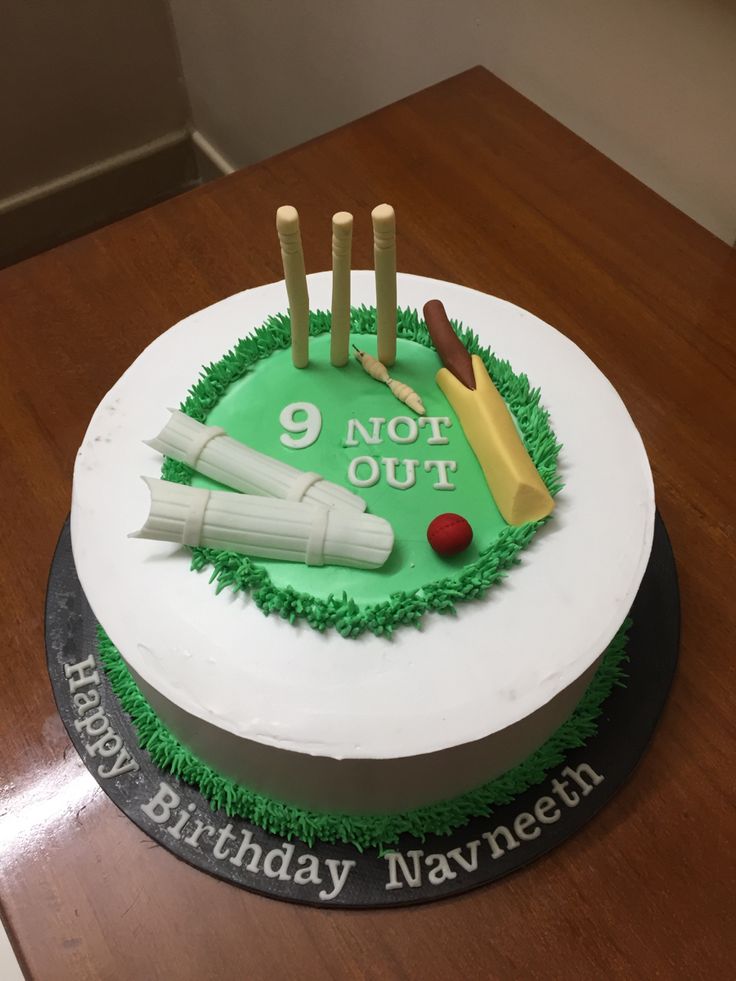 Cricket theme cake design ( 8 )