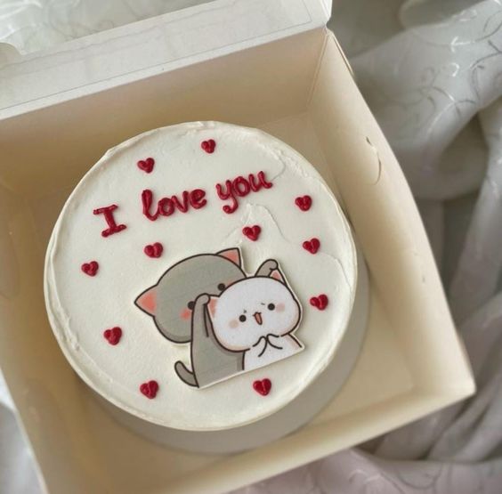 Bento cake for your Partner