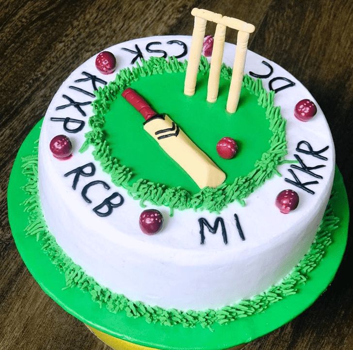 Cricket theme cake design ( 43 )