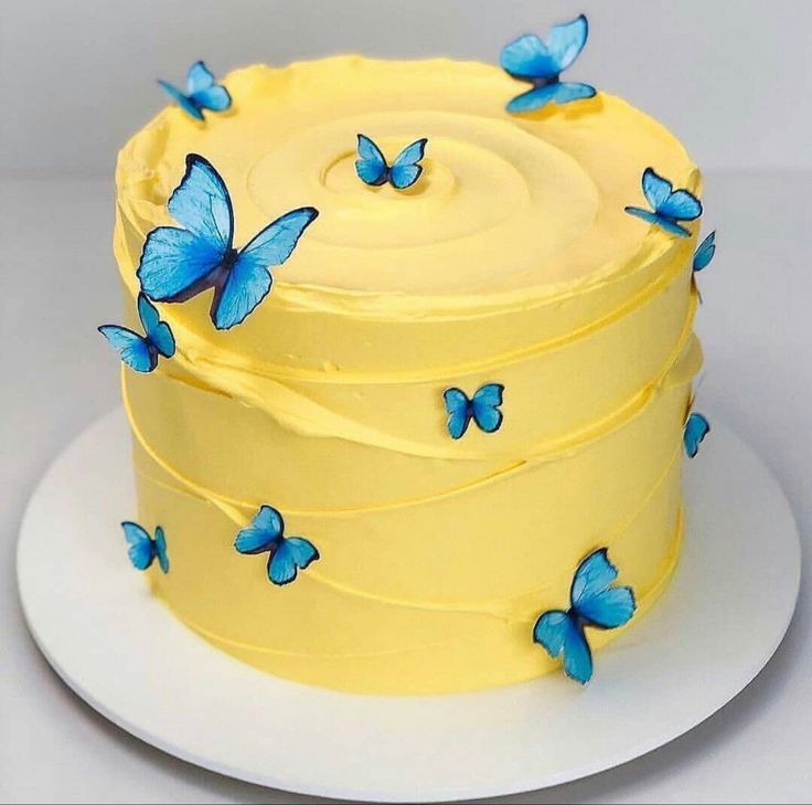 Butterfly theme cake design ( 39 )