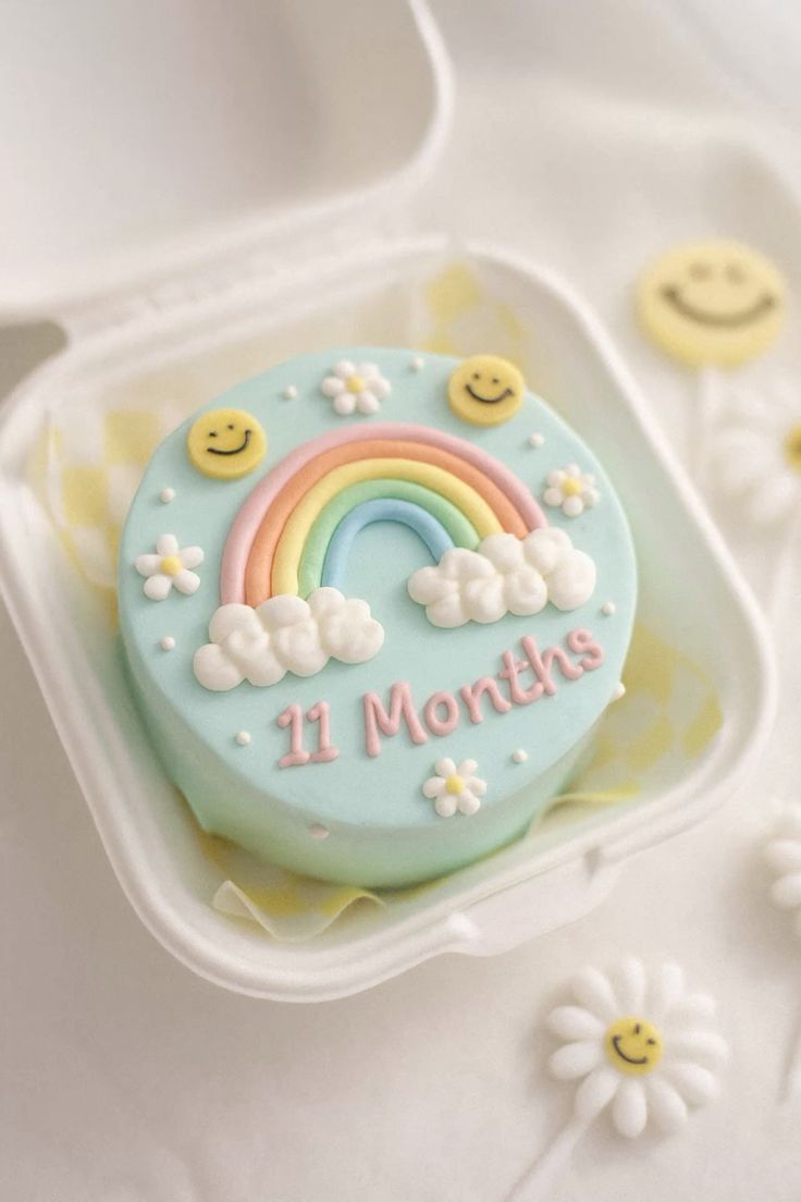 Bento cake for 11 month baby