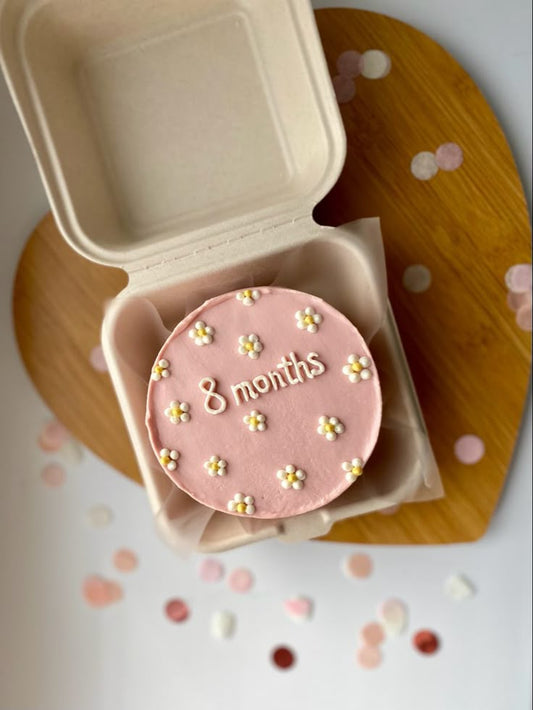 Bento cake for 8 months baby