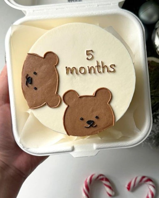 Bento cake for 5 months baby