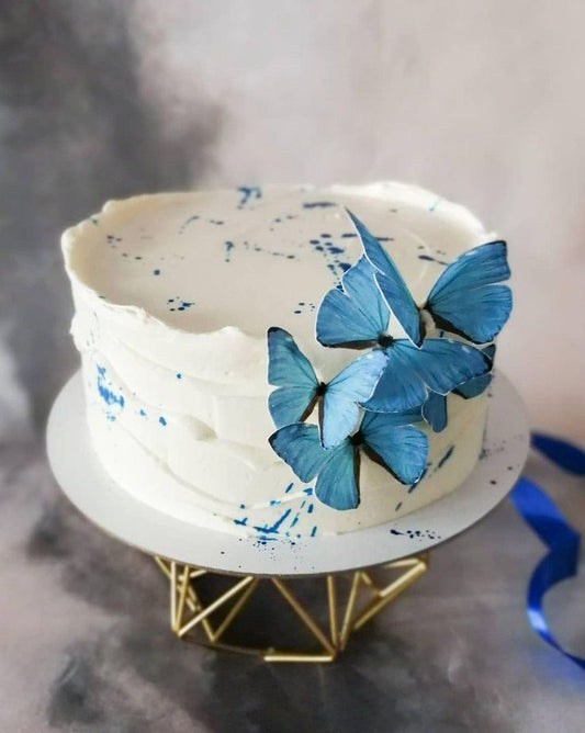 Butterfly theme cake design ( 21 )