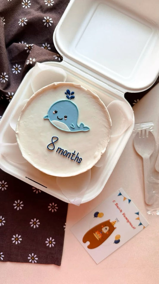 8 months bento cake for baby
