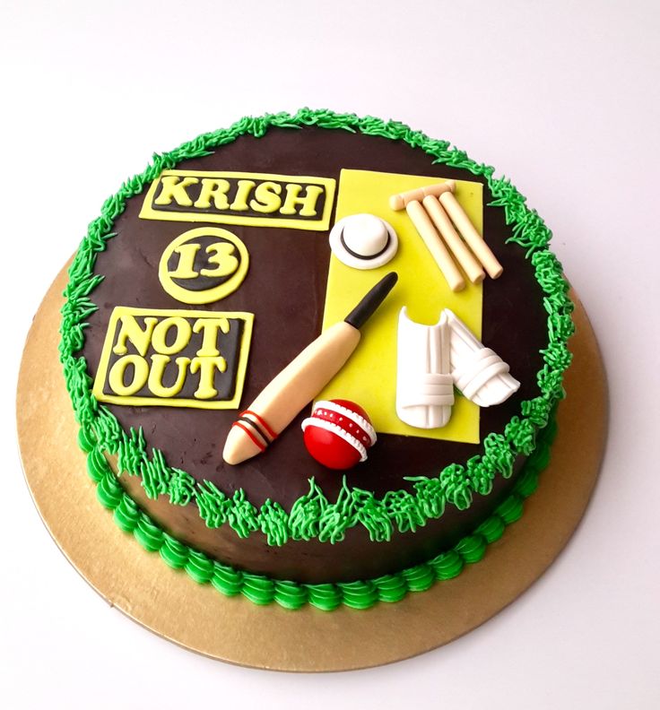 Cricket theme cake design ( 37 )