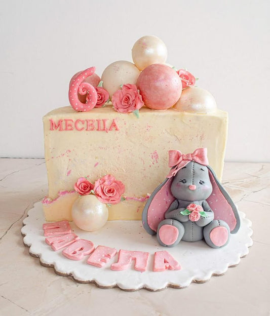6 Months Birthday Cake (50)
