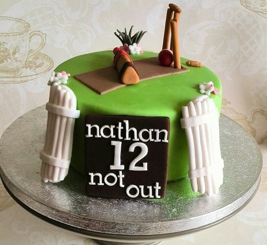 Cricket theme cake design ( 31 )
