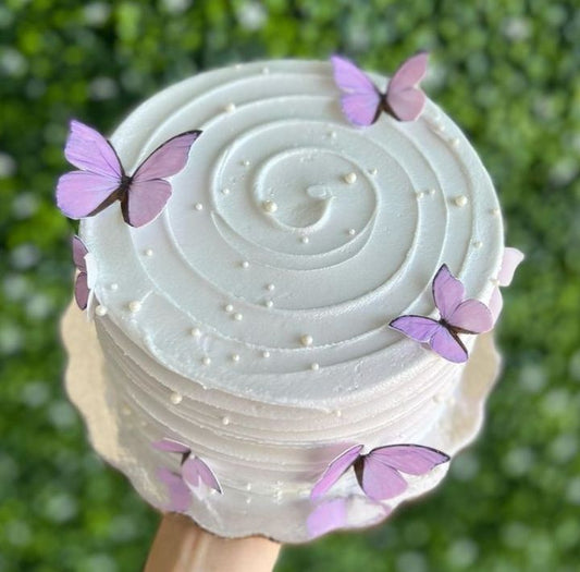 Butterfly theme cake design ( 5 )