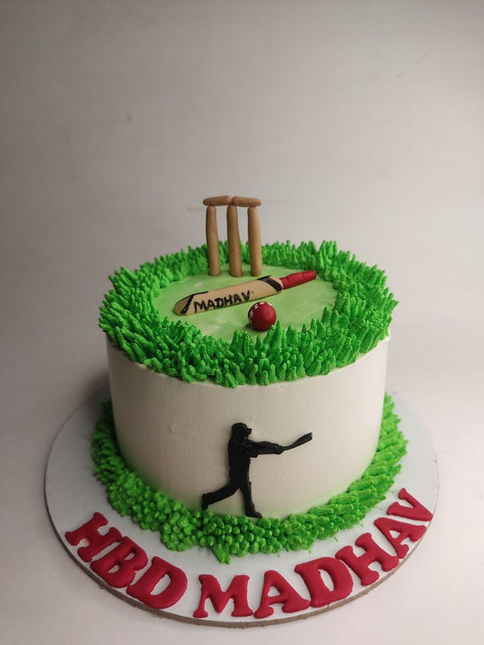Cricket theme cake design ( 1 )