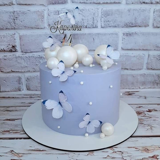Butterfly theme cake design ( 11 )