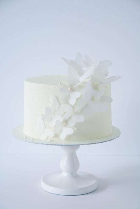 Butterfly theme cake design ( 22 )