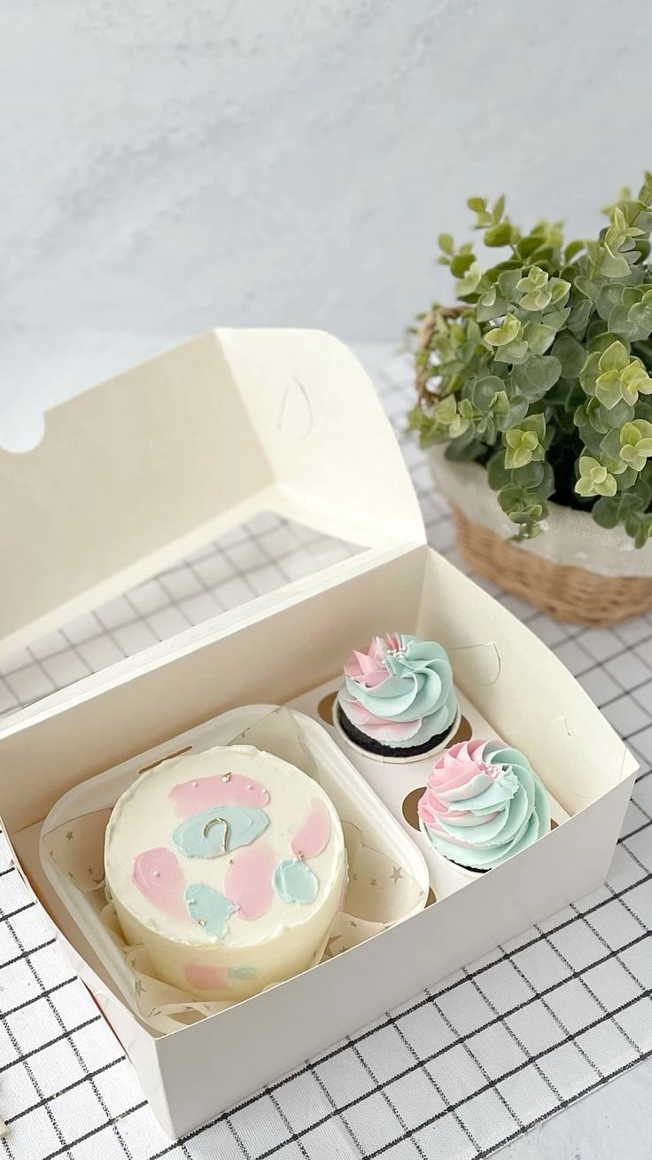 Bento cake combo ( 27 )